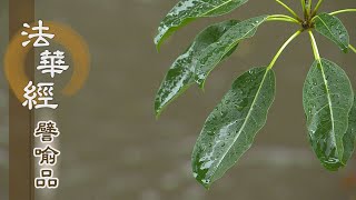 【靜思妙蓮華】法華經譬喻品 - 心農與心僕 - 20201030 第532集