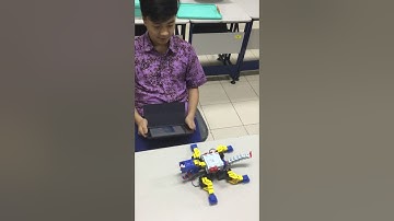 Project Activity Crocodile project ukit Education