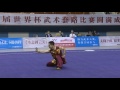 1st Taolu World Cup - Di Wang (CHN) - Men's Nanquan - 1st Place