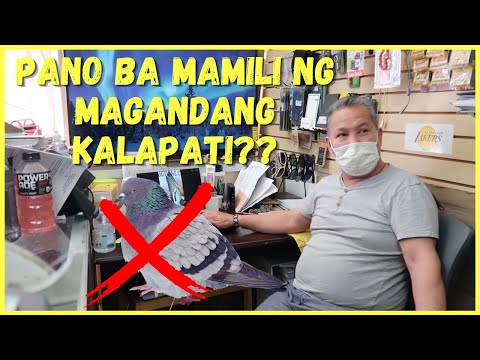 Video: Paano Pumili Ng Sangay Upang Hindi Matakot Sa Isang Ibon