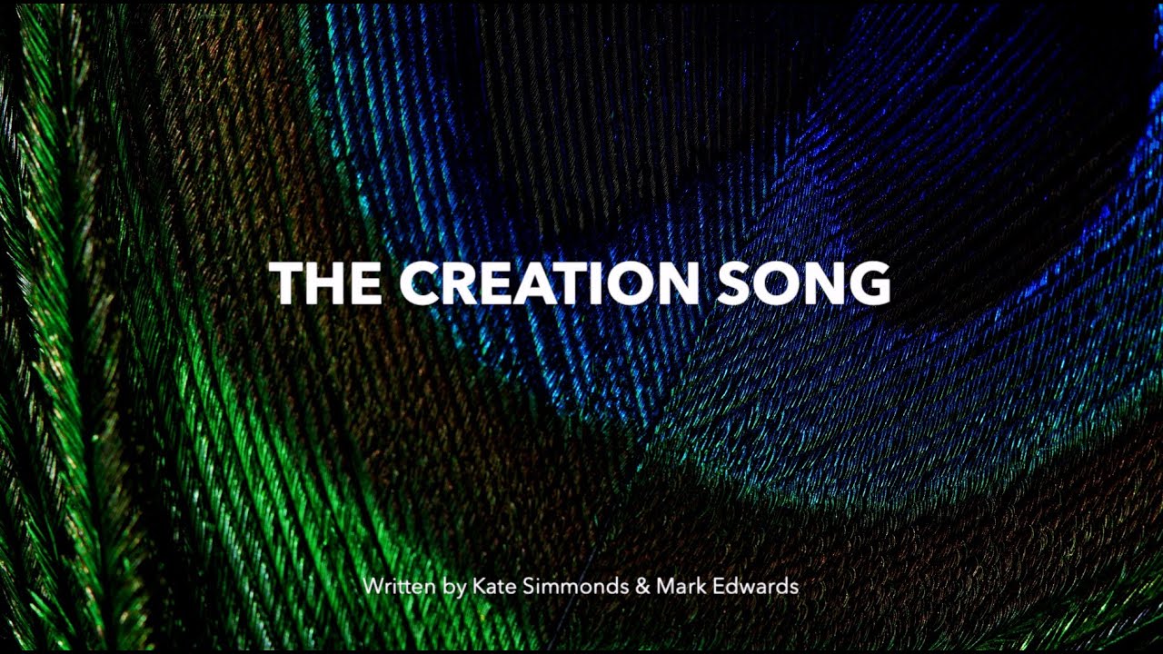 The Creation Song