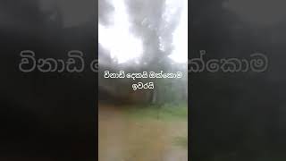 අයීයෝ