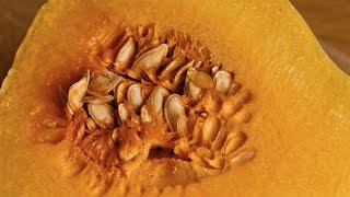 Heirloom Squash Soup Recipe GardenFork Cooks