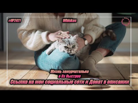 Whiskas — «Жизнь замурчательна» в 8х быстрее | PRO Рекламу | vk.com/sd__music