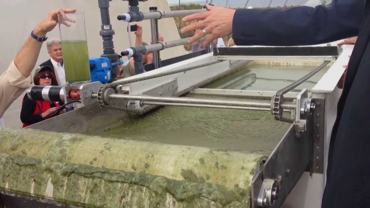 EWS Algae A60: High-Speed, Chemical-Free Algae Harvesting - YouTube