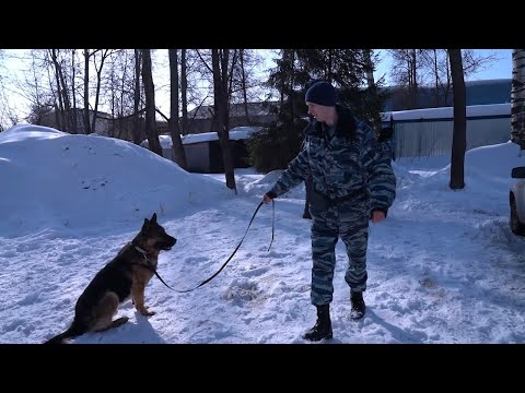 Мытищинские кинологи на страже безопасности