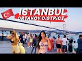 Istanbuls captivating ortakoy district mustsee city tour in 4k walking tour ortaky