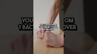 Microscopic Mayhem Bacteria Multiply Fast