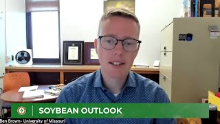Ben Brown's outlook on the soybean market