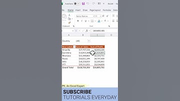 Pivot Table Pro Hack: Auto-Create Separate Pivot Tables for EACH Filter! #shorts