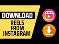 How to Download Reels from Instagram for Free!