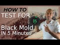 How To Test For Black Mold In 5 Minutes