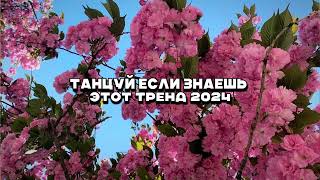 🌸Танцуй если знаешь этот тренд 2024🌸