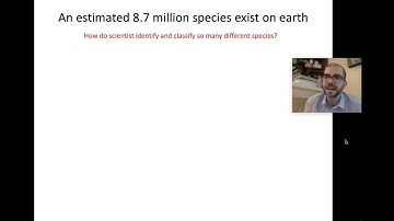 Fossils & Phylogenetic Trees - AP Biology
