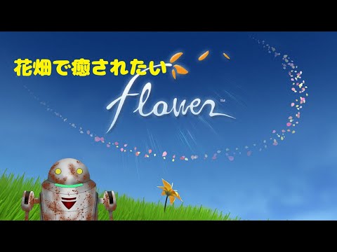 【flower】花畑で癒されたい