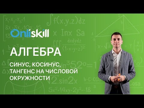 Синус косинус тангенс котангенс на числовой окружности видеоурок