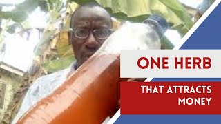 This herb is for Money Attraction screenshot 4