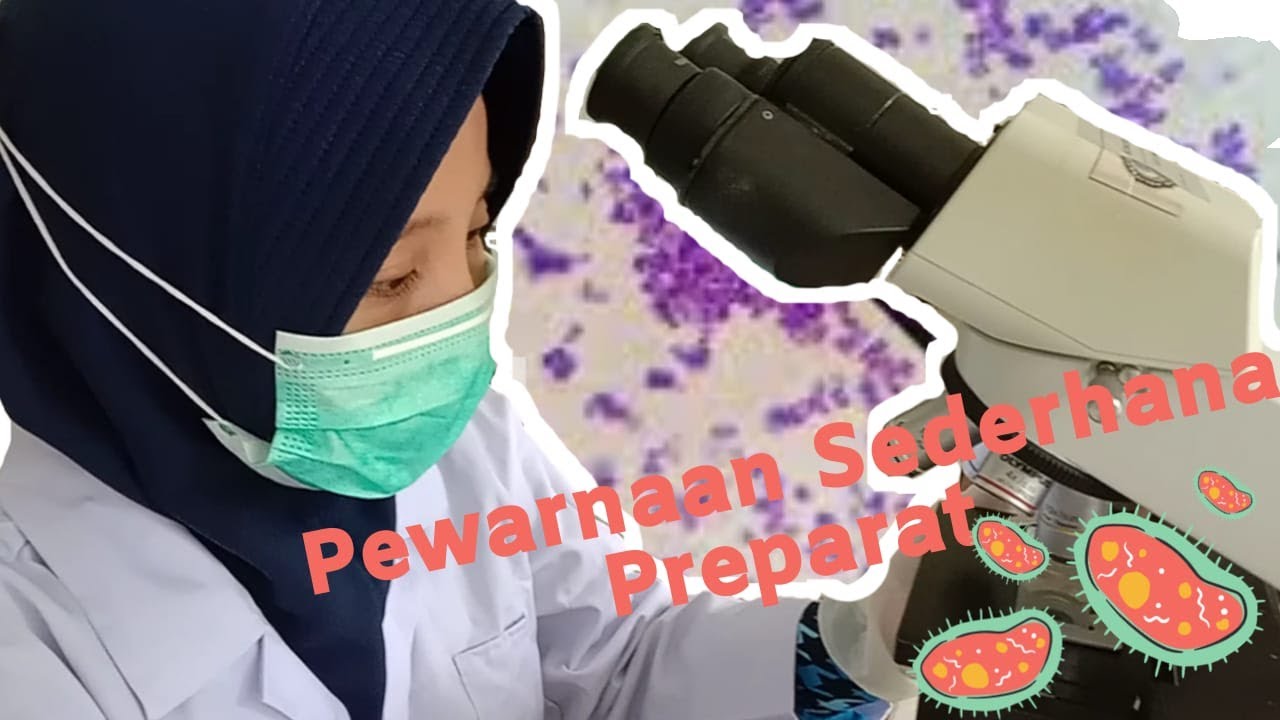 Pewarnaan Sederhana Preparat Bakteri