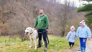 NAJBOLJA HRANA ZA PSE + ŠETNJA SA SINOVIMA KROZ NAŠE PRELIJEPO SELO 🐕🌿