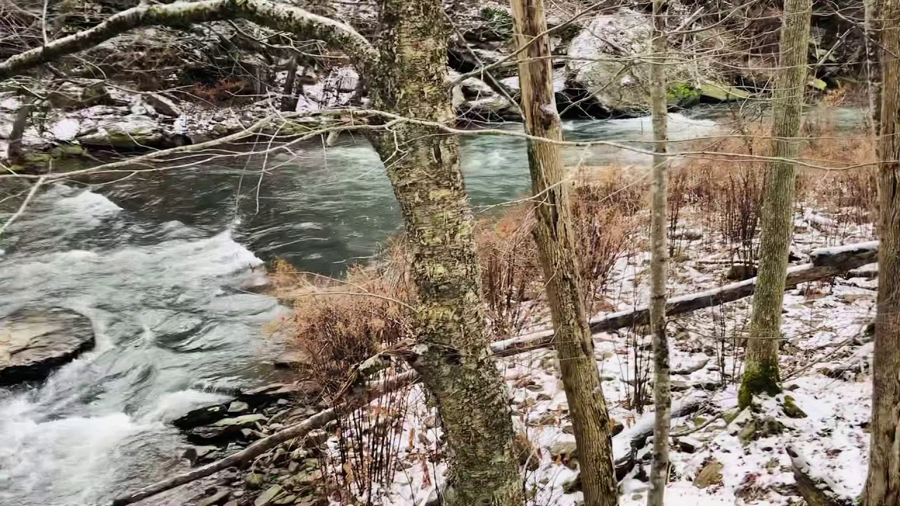 View from the Mill, Alfred Beckley Mill Ruins