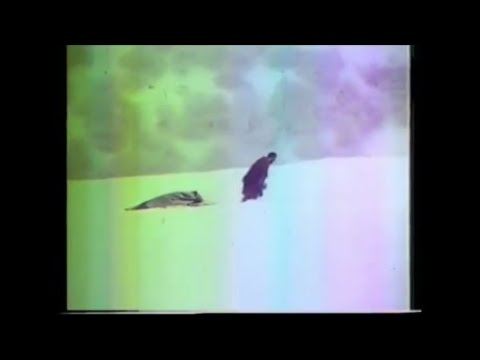 \"ცოდვის შვილები\" - გზის დასასრული... და დასაწყისი