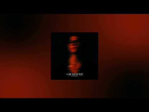 Universe David Kushner Sped Up Reverb