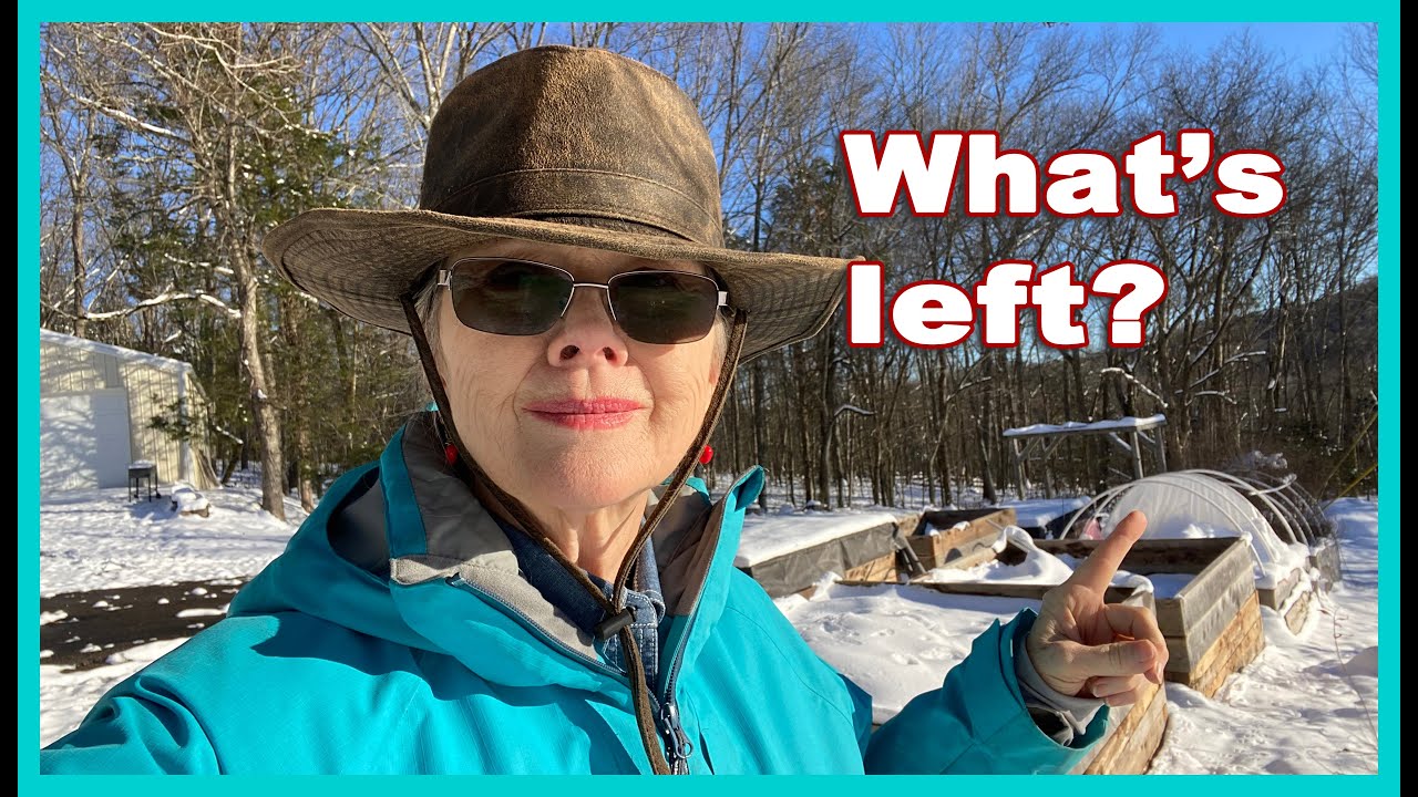 Let's take a walk on Day 3 of the BIG SNOW - YouTube