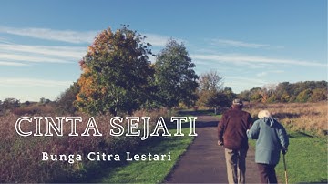 Cinta Sejati - Bunga Citra Lestari ( Lirik Video )