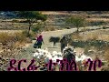 Eritrean Music Tekle Gobo Fqri Meadobmeado Eritrean Music Tekle Gobo Fqri Meadobmeado
