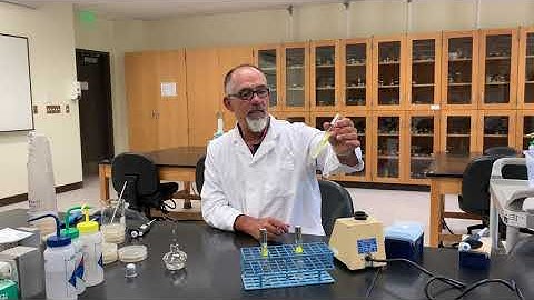 Bio 242 Experiment 2 video