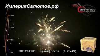 СП1204901 Калейдоскоп. www.isalutov.ru тел.: (423) 292-43-53
