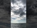 #aesthetic #calm #fypシ #lofi #lofi #lofimusic #lofimusic #rain #rain #reels #fifa #fifa #vibe #peace