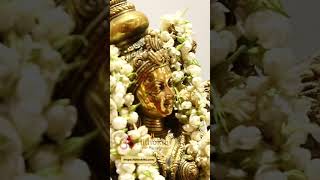 Beautiful Alankaram of Lord Sri Krishna | #shorts