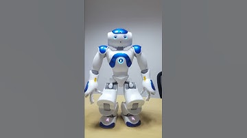 NAO Robot - Sultan Exercise | NAO Robot doing exercise | NAO Robot | NAO Facts