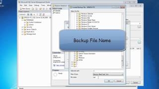 Restore SQL Database