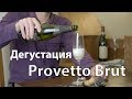 Игристое вино Provetto brut дегустация