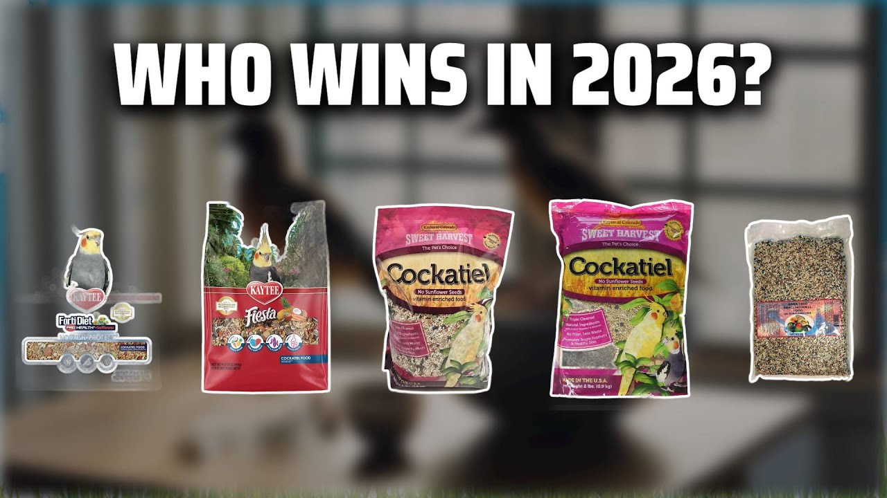 The Top 5 Best Cockatiel Food in 2026 - Must Watch Before Buying!