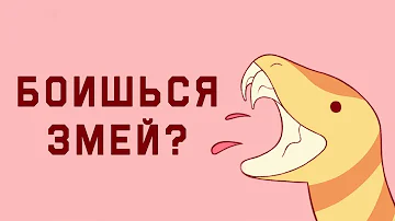 Edu: Посмотри, если боишься змей