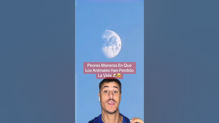 Peores Maneras En Que Los Animales Han Perdido La Vida 🥺 #shorts