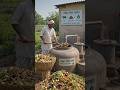 कचरे से ऊर्जा: किसान की स्मार्ट बायोगैस तकनीक 🌱🔥