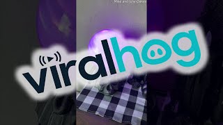 DIY Crystal Ball Halloween Decoration || ViralHog