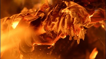 Renegade Holyman-Plumed Serpent (Music Video)