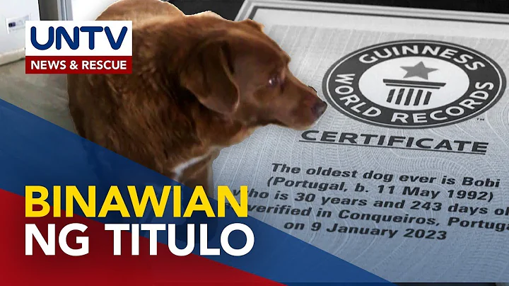 Titulong world’s oldest dog sa asong si Bobi, tuluyan nang binawi ng Guinness World Records - DayDayNews