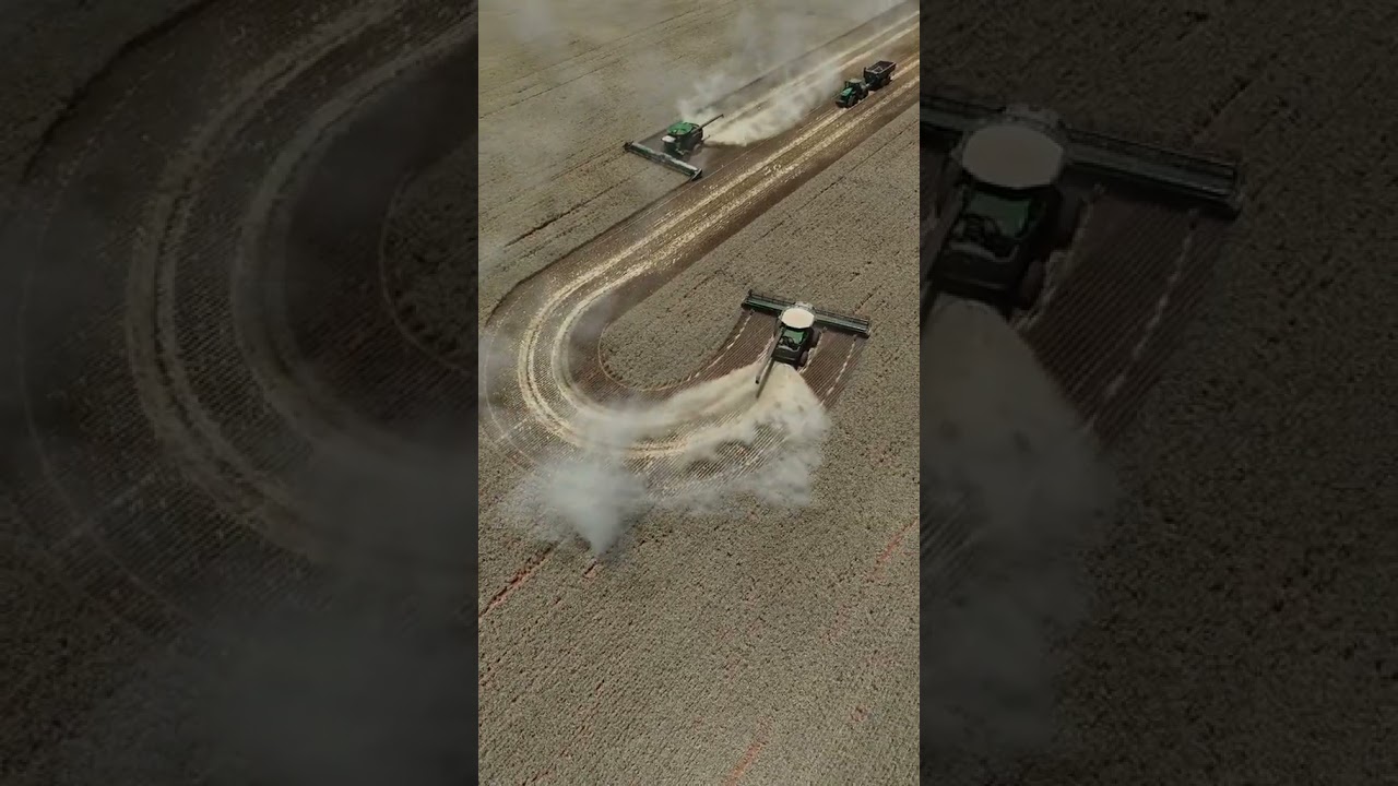 Just like clockwork with high yields 