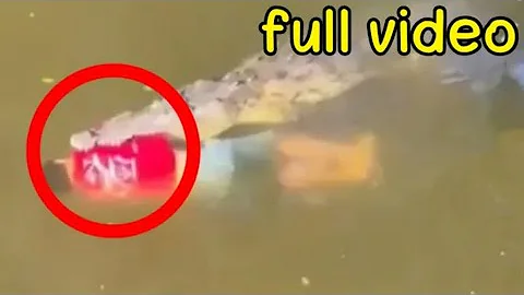 Crocodile Devours Soccer Player "Jesus Ortiz" in Costa Rica - Lesson Learnt