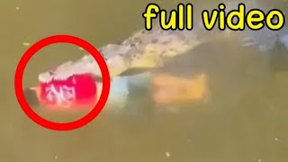 Crocodile Devours Soccer Player Jesus Ortiz In Costa Rica - Lesson Learnt