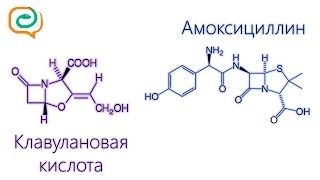 По-быстрому о лекарствах. Амоксициллин и клавулановая кислота