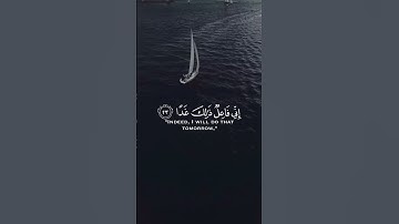 ﴿ولا تقولن لشيء إني فاعل ذلك غدا) تلاوة خاشعة ـ محمد هشام | حالات واتس اب | سورة الكهف
