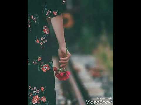 شيلاك فى نن عينى