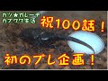 【カブトムシ・クワガタ】祝！カブクワ１００回記念！カブクワたちのお世話＋初のプレ企画！